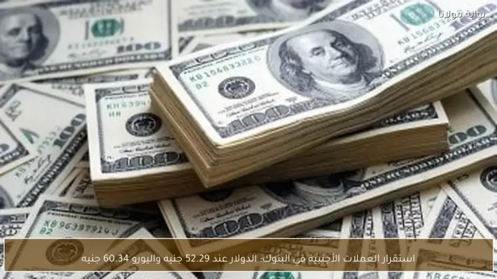 استقرار سعر صرف الدولار عند 52.29 جنيه واليورو عند 60.34 في البنوك